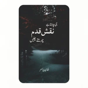 جی چاہتا ہے نقشِ قدم چومتے چلیں
